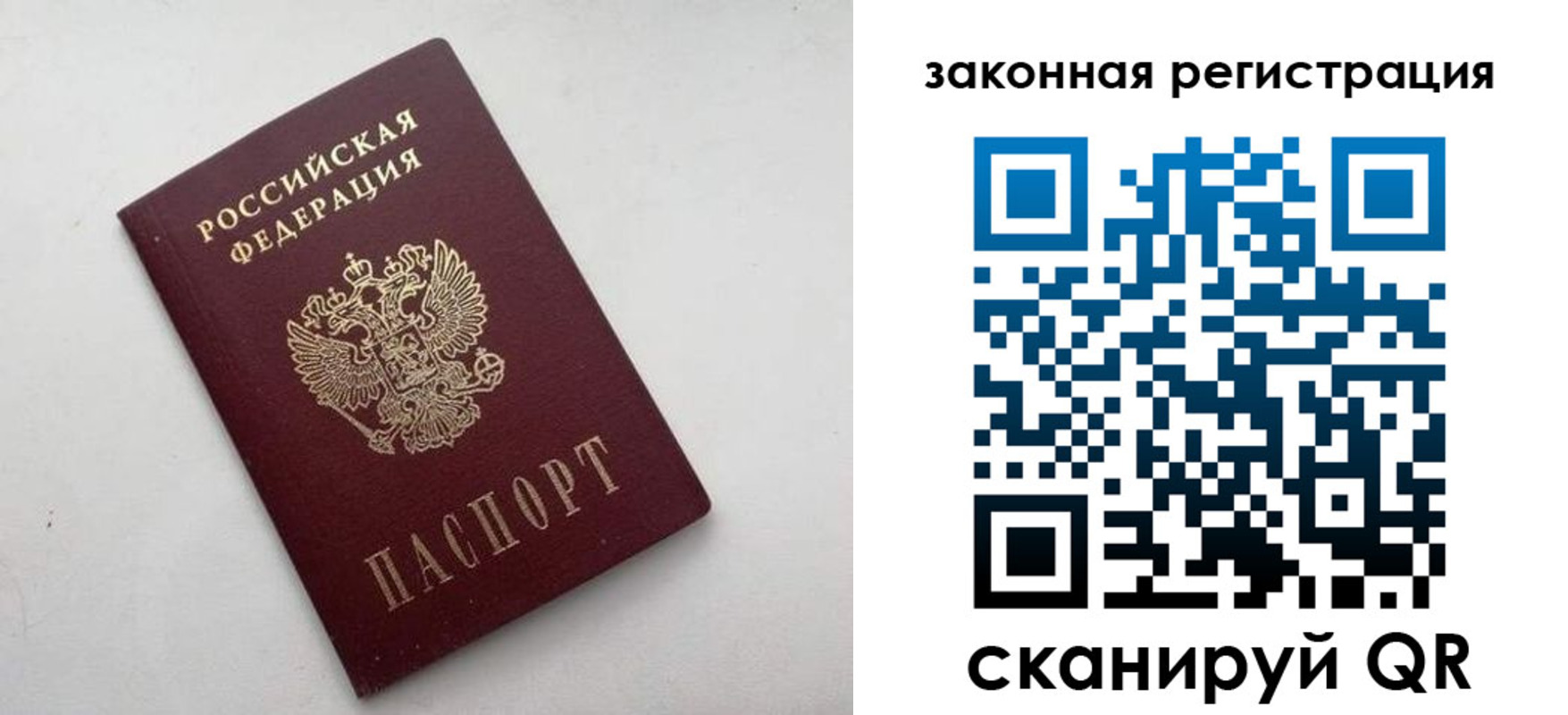 прописка 2025 в Лосино-Петровском